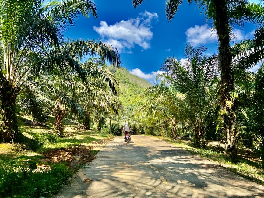 Tag 325 - Another change of accommodation @ Phu Siab Mhok@KhaoSok