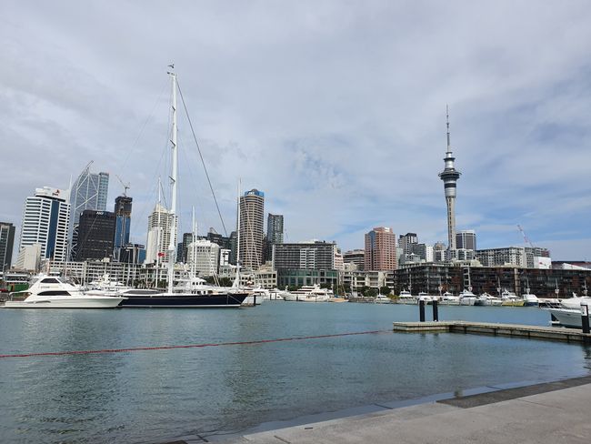 Stadterkundungstour in Auckland