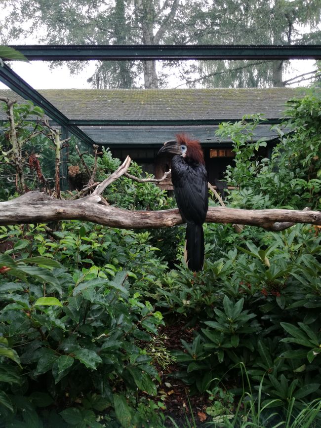 Tag 5: Nach dem Besuch des Weltvogelparks nur das "kleine" Abendmenü...