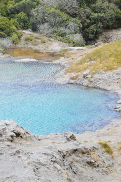 Te Puia - Vapeur de geyser, culture Maori et un kiwi vivant