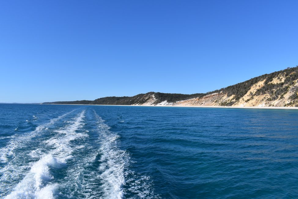 Whale watching, Fraser Island