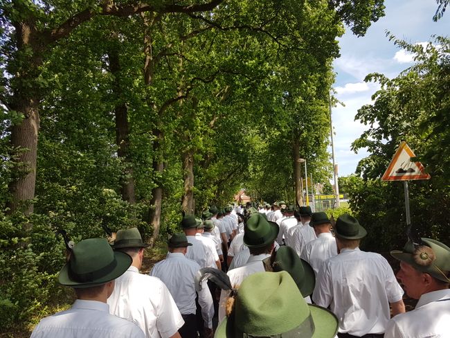 Marcha el domingo