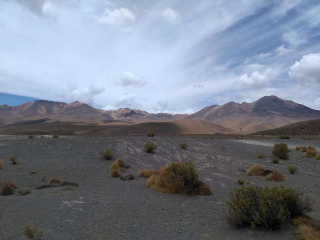 Bolivian desert