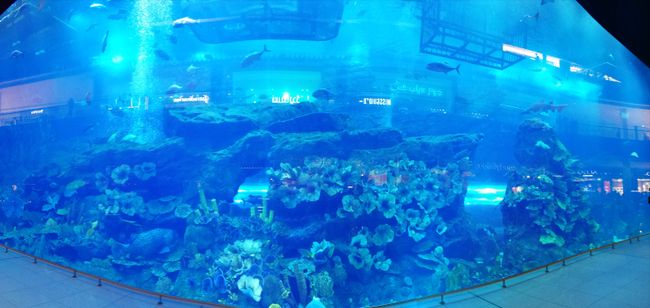 Aquarium in der Dubai Mall 