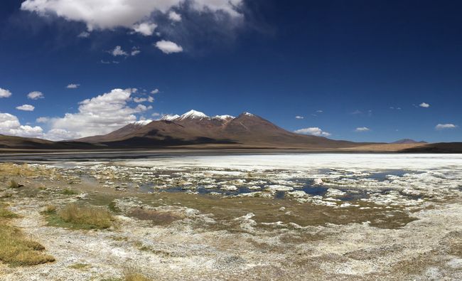 Laguna Hedionda, Eduardo Avaroa Andean Fauna National Reserve 