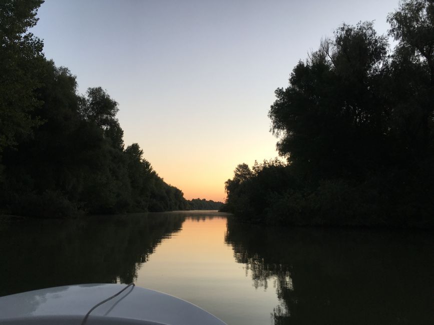 Day 12 boat tour through the Danube Delta