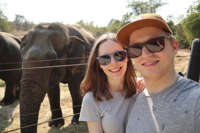 Selfie with an elephant.