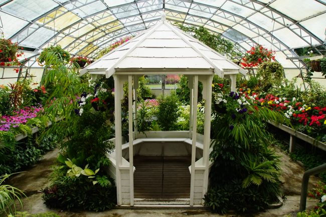 Queens Park - Greenhouse