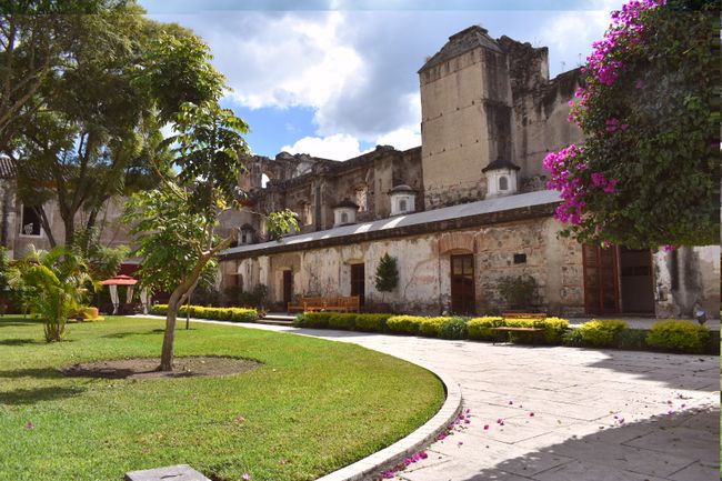 Jardín de la biblioteca