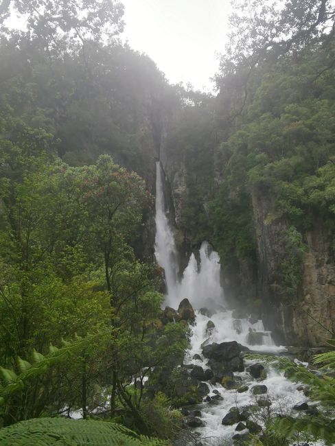Tarawera Falls