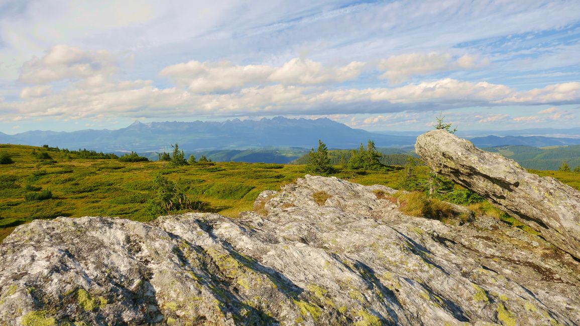 Blick zur Hohen Tatra