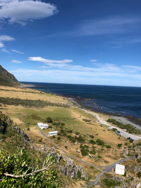 Cape Palliser 🇳🇿 Southernmost point on the North Island 🌊