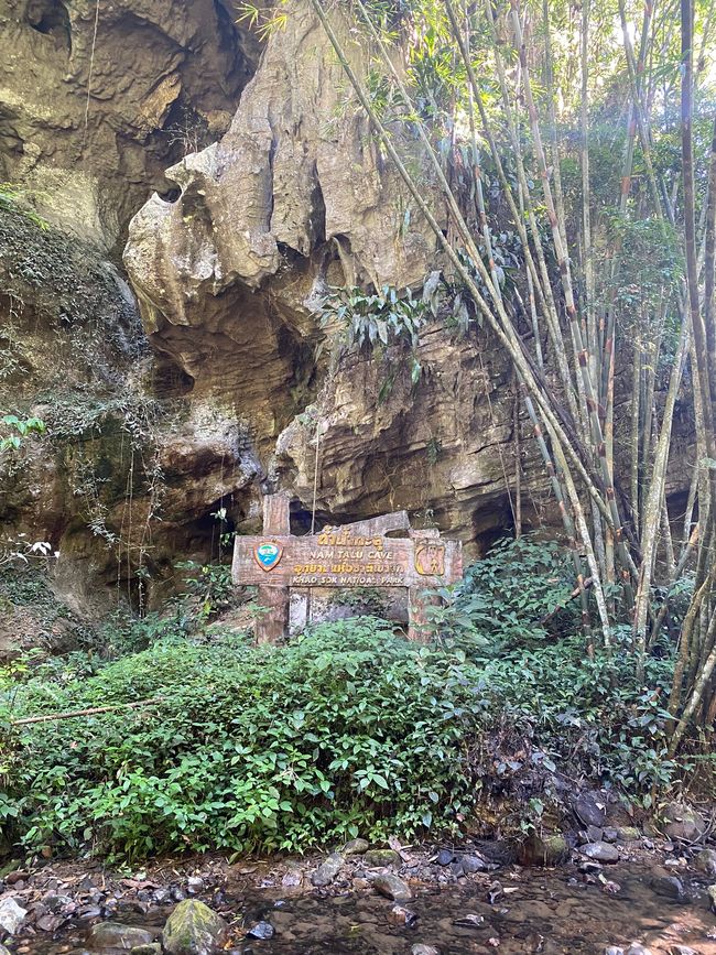 20.01.2023 – Ausflug in den Khao Sok Nationalpark
