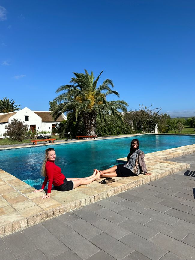 Hermanus ♥️