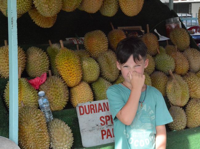Durian.... auch als Stinkefrucht bekannt