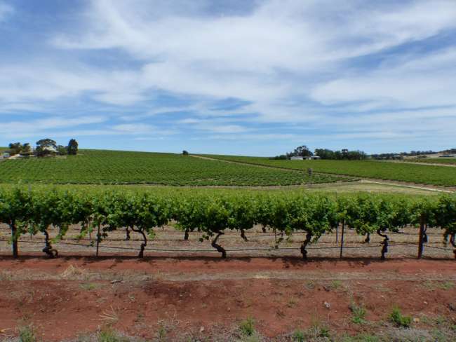 Tag 32: Clare - Clare Valley - Adelaide - Cape Jervis