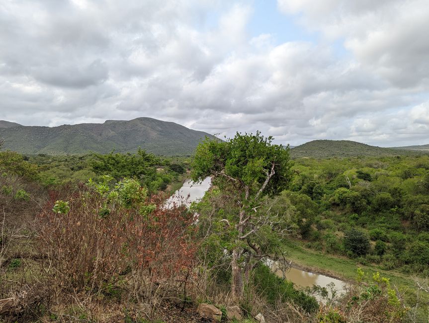 Hluhluwe-Imfolozi-Nationalparks