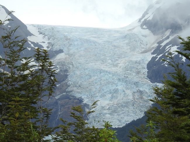 Ventisquero Gletscher / Glacier