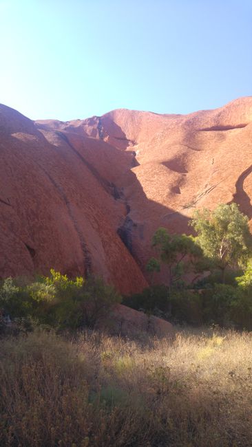 Uluru von Nahem