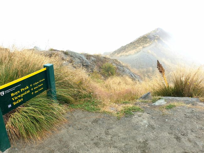 Oben am Roys Peak angekommen & Nebel überall