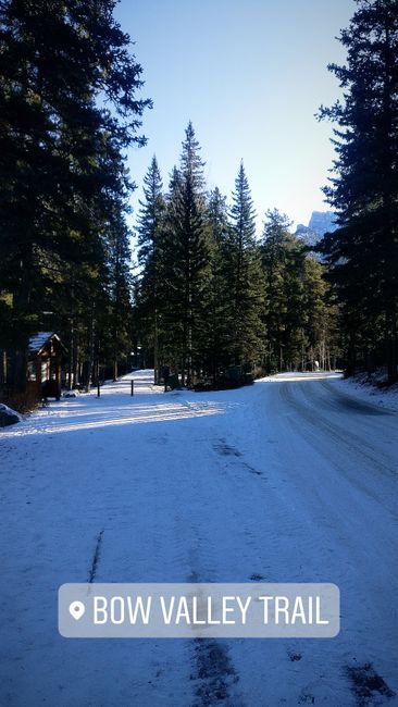 2. Tag in Banff