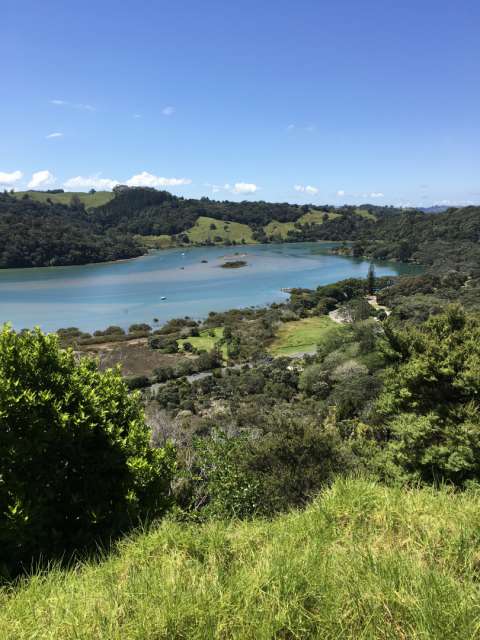 Not far from Auckland