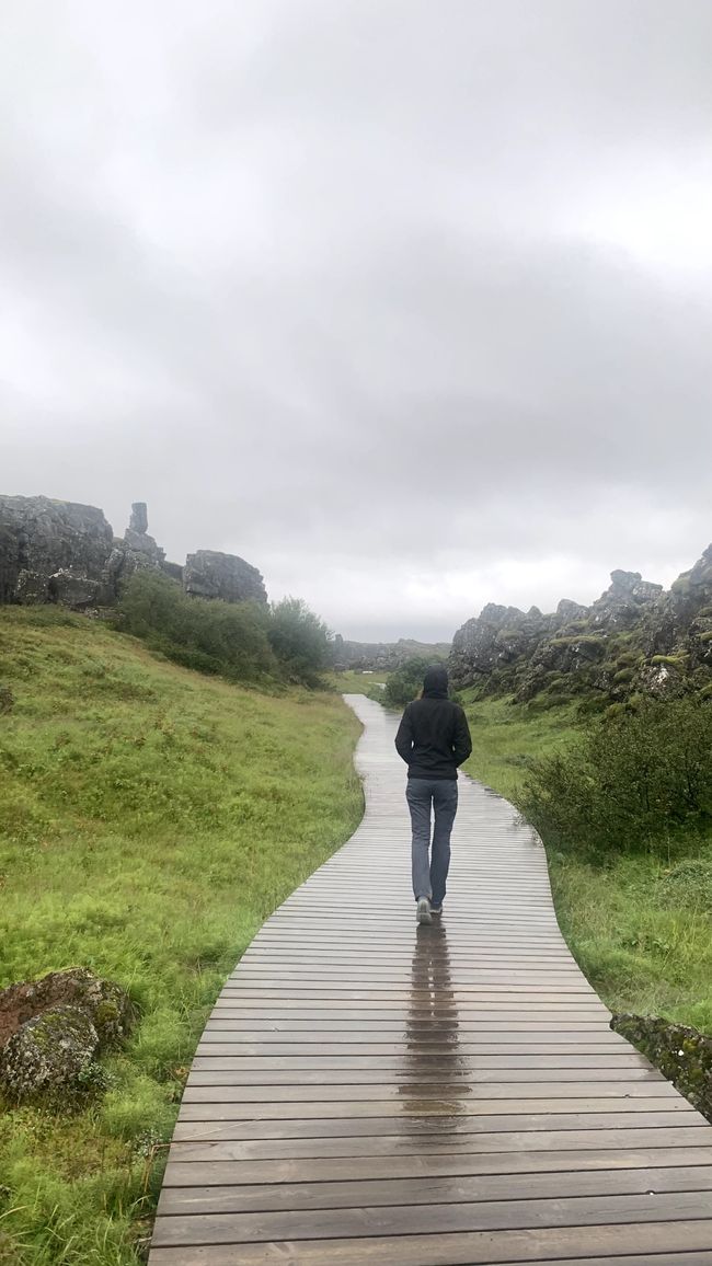 Reykjavik, rain and rhubarb