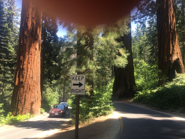 Sequoia exit