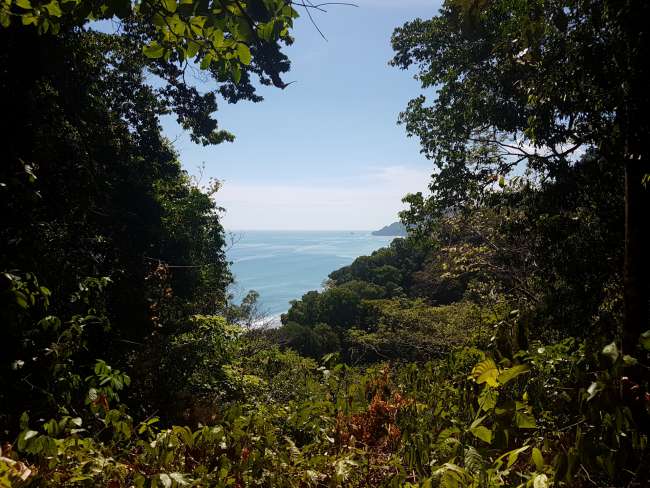 Costa Rica - Puerto Jimenez