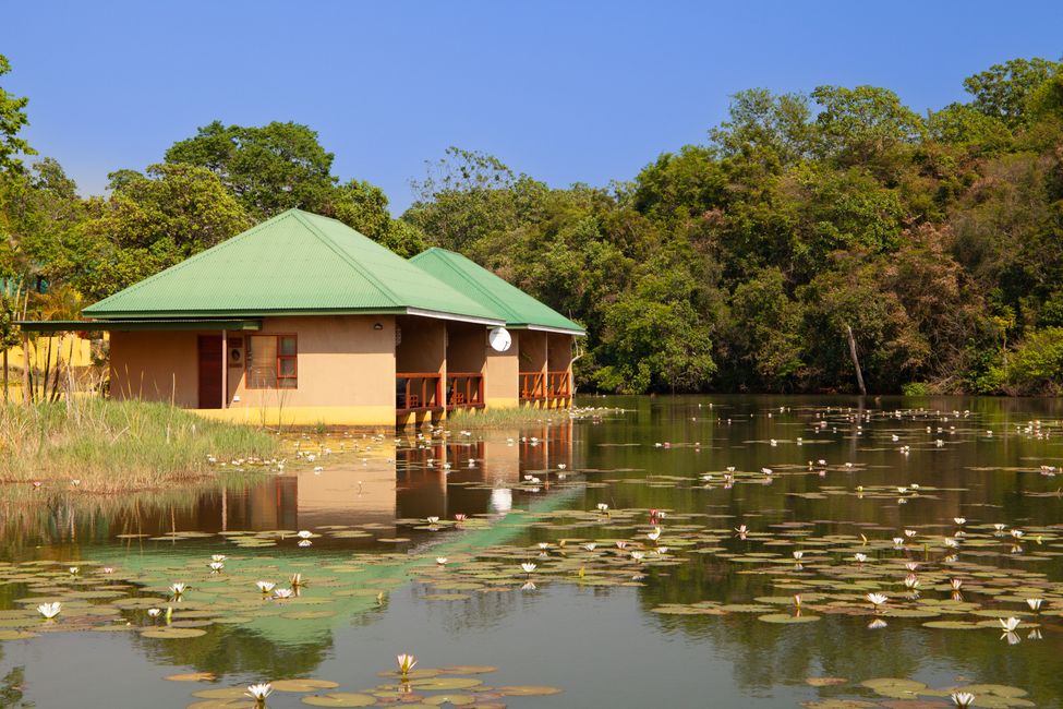 Bambuu Lakeside Lodge