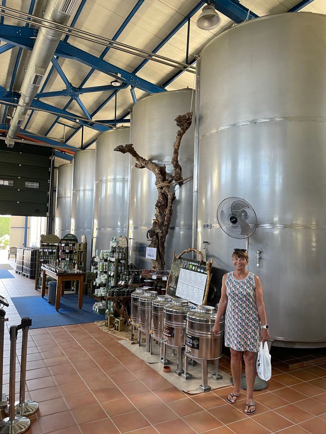 In front of the oil barrels at the olive press