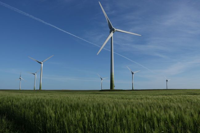 Wind turbines in the wheat fields