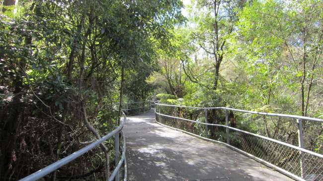 Valle de los Canguros