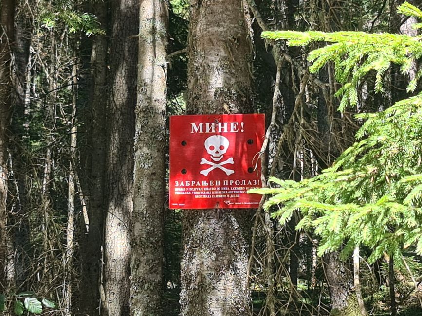 Nur leider lädt der Wald rechts und links so gar nicht zum verweilen ein.