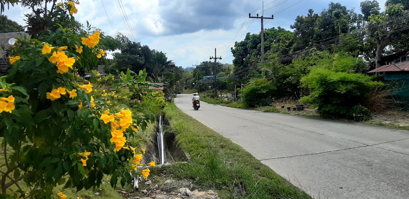 Streets and Traffic