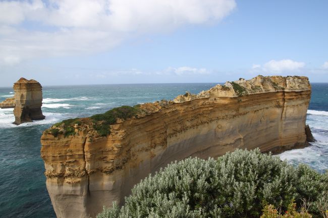 From the Great Ocean Road, magnificent nature... and venomous snakes🐍