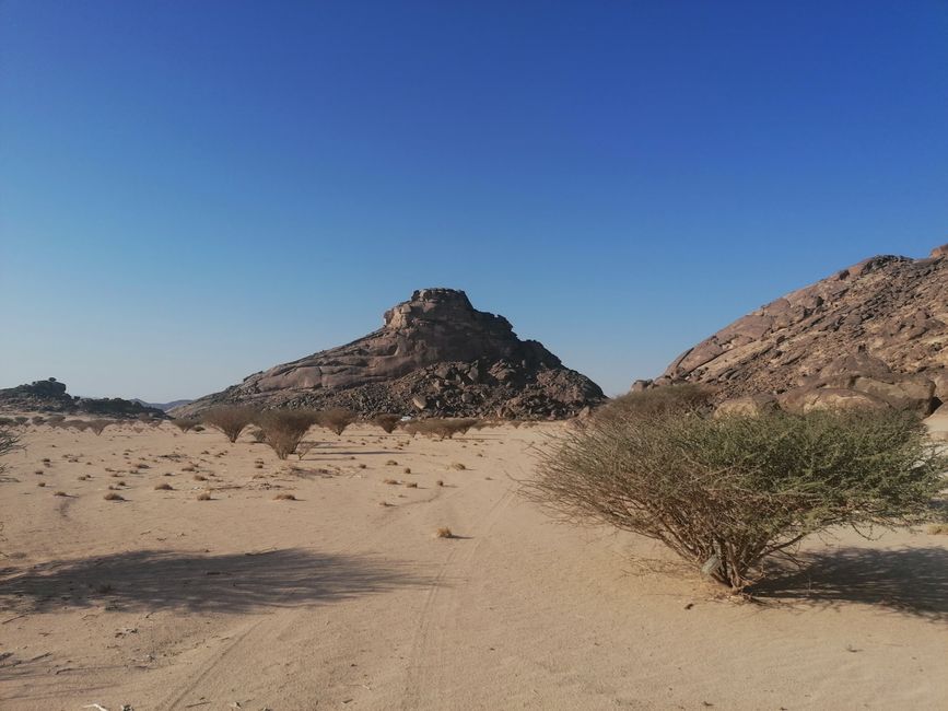 KSA Schlafende Drachen in der Wüste