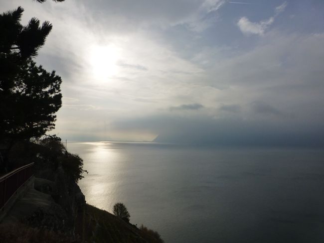 Lavaux Terrace