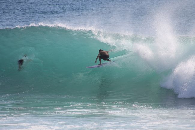 Perfekte Wellen und unglaublich gute Surfer sind hier zu bewundern
