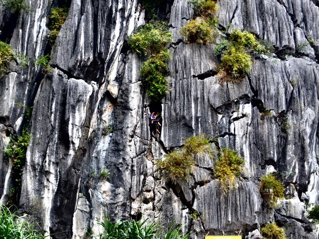 Cat Ba Island