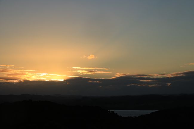 Waitata Sunsets