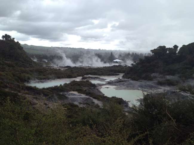 Rotorua landscape and geothermal phenomena