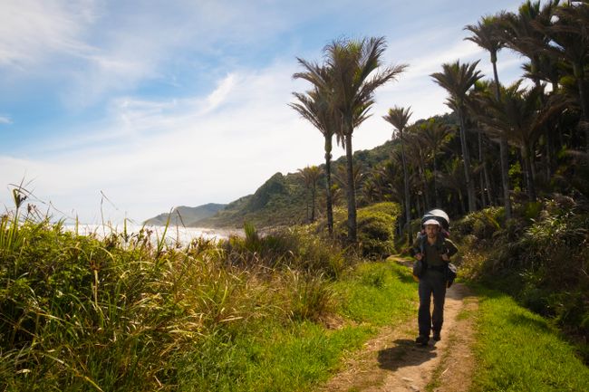 ... laufen wir an die raue Westküste Neuseelands, die sich hier bei strahlendem Sonnenschein von ihrer besten Seite zeigt.