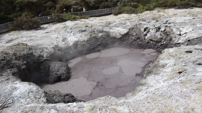 Tag 9 Wai-O-Tapu Thermal Wonderland