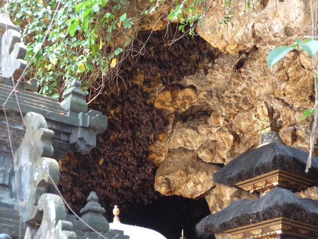Reisfeldwanderung, Fledermaustempel und Gerichtshalle (Bali Teil 8)