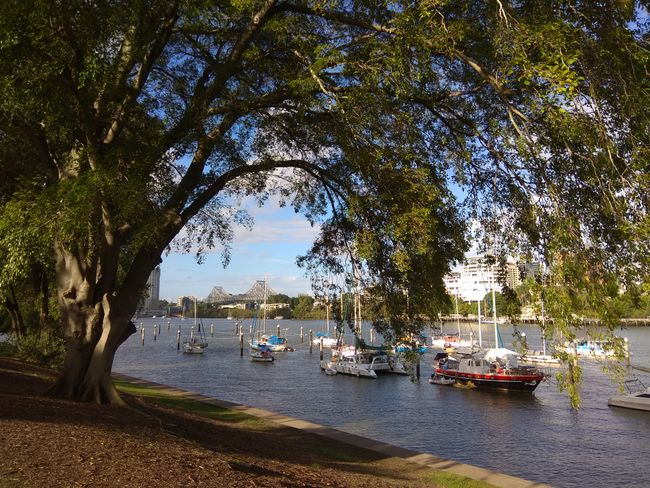 Brisbane: Aussicht vom Botanischen Garten