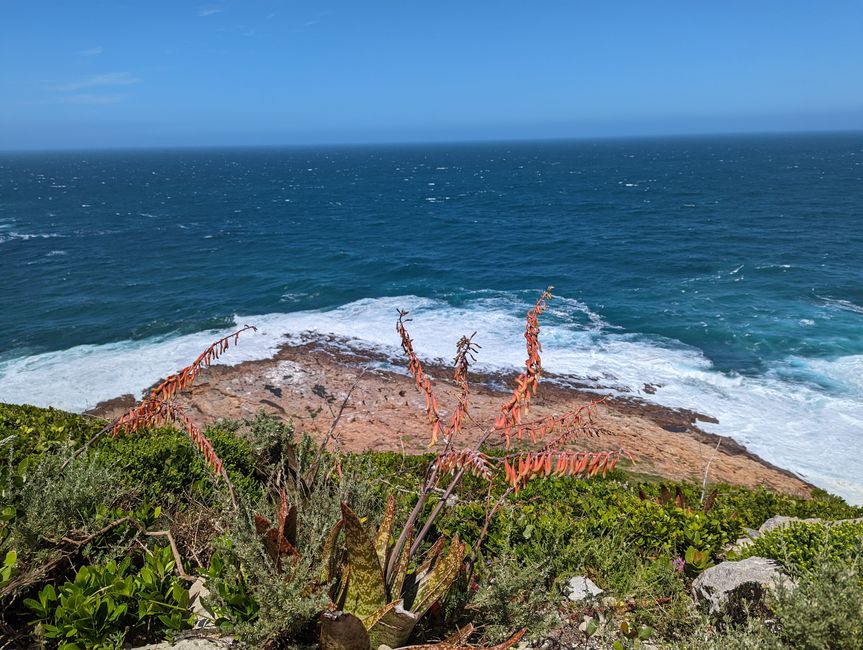 Plettenberg Bay/Robberg Nature Reserve