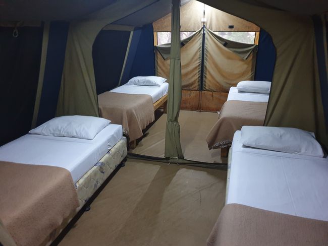 Glamping - Our tent
