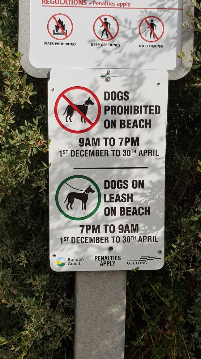 and regulations for dog walks
