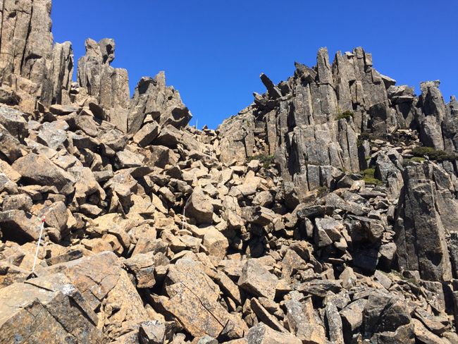 Ekkuumiro ly’ebisolo erya Cradle Mountain National Park